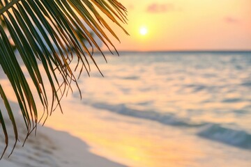 Obraz premium A palm leaf lies on a beach at sunset, with warm tones and serene atmosphere