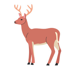 White tailed deer icon clipart avatar logotype isolated illustration