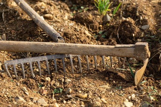 Planting garlic tools