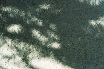 Eclipse shadows 