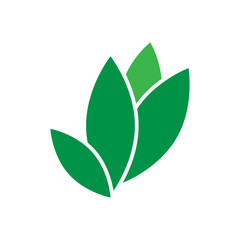 Leaf icon