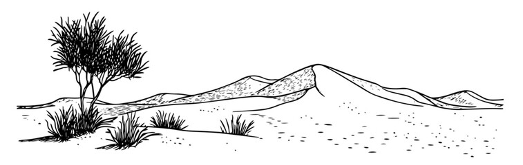 hand-drawn desert scene with sand dunes, tree, and shrubs in black and white © Kaz
