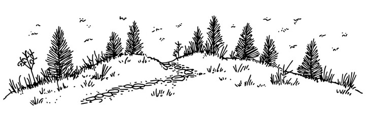 hand-drawn hilly landscape with pine trees, grass, and flying birds in black and white