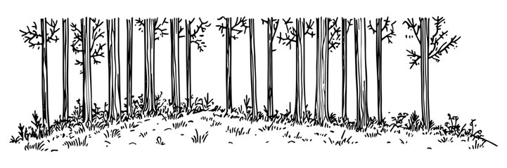 tall trees in a forest clearing in black outline style © Kaz
