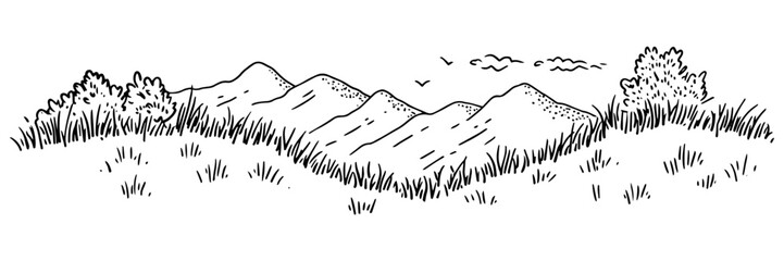 Fototapeta premium mountain landscape with grass and bushes in black outline style