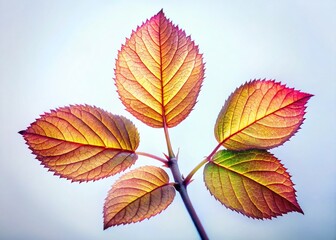 Obraz premium Surreal Rose Leaf Twig: Three Leaves Isolated on White Background - Botanical Photography