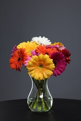 Bouquet of beautiful gerbera flowers in glass vase on black table against grey background
