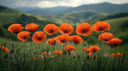 Obraz premium A field of vibrant orange flowers against a stunning mountain backdrop