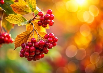 Fototapeta premium Vibrant Autumnal Eberesche Berries on Branch, Copy Space Left