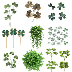 Set of photorealistic Leafs isolated on White Background