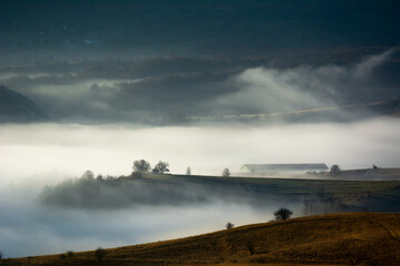 Fototapeta premium Misty morning in rolling hills a tranquil scene