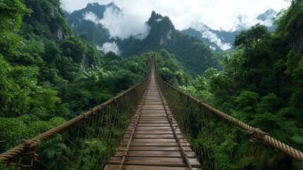 Wooden Bridge Surrounded by Jungle