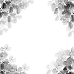 Black flower frame on a white background.