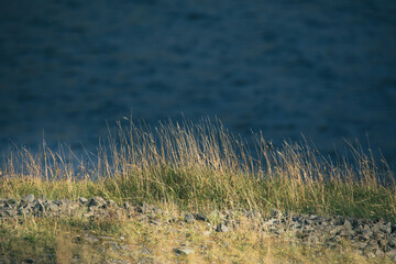 Journey at the end of the world, Faroe Islands