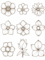 Obraz premium Nine elegant monochrome flower illustrations.