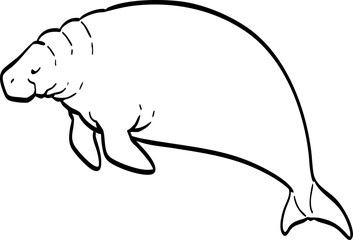 hand drawn cute cartoon Dugong illustration.