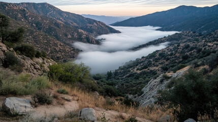 Serene Valley with Rolling Fog at Dawn in Mountain Landscape