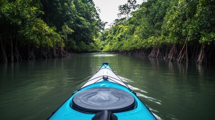 Fototapeta premium Kayaking through a serene mangrove forest waterway.