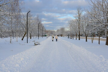 Serene Winter Wonderland Couples Enjoying a Romantic Stroll in the Soft, Beautiful Snow