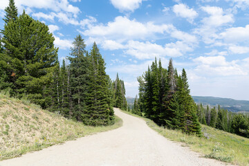 Rural country landscape with dirt and stone mountain road with leading lines through trees on a beautiful day with blue sky and white clouds