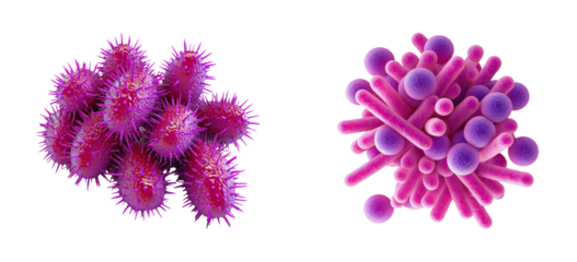 Colorful Microorganisms on Transparent Background