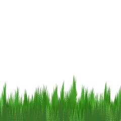 Illustration of green grass isolated on a white background.