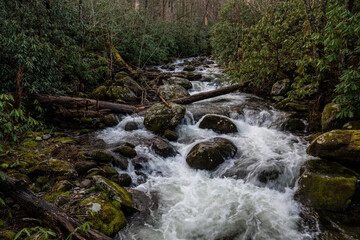 Rock Creek Rushes with Spring Melt