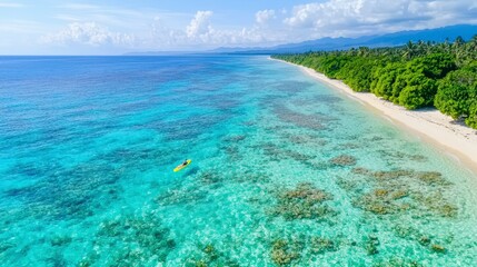 Obraz premium Aerial View of Tropical Beach with Clear Blue Water and Kayaker in the Calm Ocean Landscape