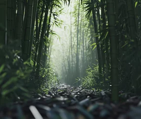 Lush bamboo forest pathway illuminated by soft morning light creating a serene atmosphere perfect for peaceful walks and meditation