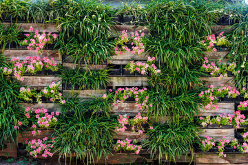 Fence or wall with plants in vertical garden, full frame background