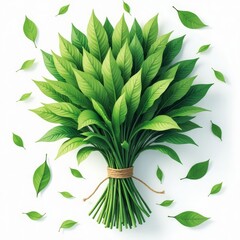 Green leaves bouquet tied with rope on white background