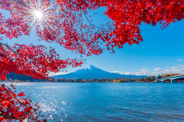 Colorful Autumn Season and Mountain Fuji with morning fog and Red Maple Leaves in autumn at lake...
