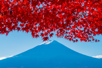 Colorful Autumn Season and Mountain Fuji with morning fog and Red Maple Leaves in autumn at lake Kawaguchiko is one of the best places in Japan, Travel.