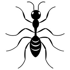 Cute  Line Art Ant Silhouette Black Vector Illustration