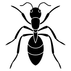 Cute  Line Art Ant Silhouette Black Vector Illustration