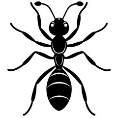 Cute  Line Art Ant Silhouette Black Vector Illustration