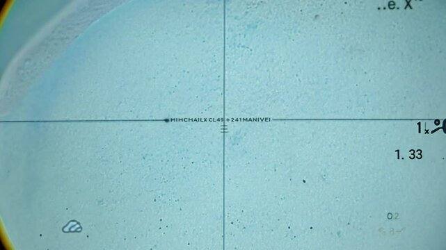 Cell division under microscope, observing mitosis process
