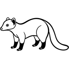 Cute  Line Art Coati Silhouette Black Vector Illustration