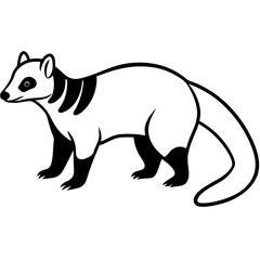 Cute  Line Art Coati Silhouette Black Vector Illustration