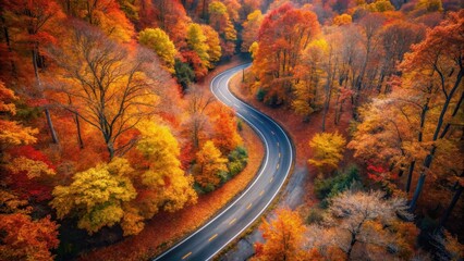 Fototapeta premium Autumnal Road Winding Through Vibrant Foliage, An Aerial Perspective of Scenic Fall Colors