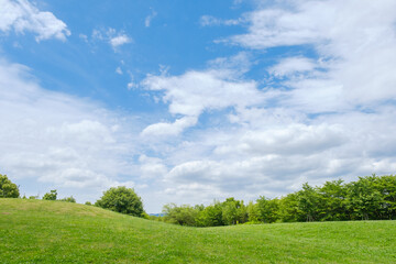 爽やかな草原と雲のある青空