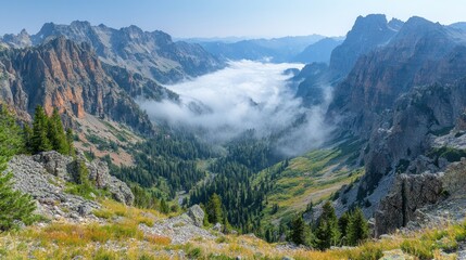 Fototapeta premium A breathtaking mountain landscape with mist and lush greenery in a serene valley.