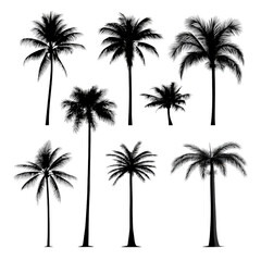 Silhouettes of Majestic Palm Trees Against a Vibrant Sunset Sky Creating a Tropical and Serene Atmosphere for Relaxation isolated on white background