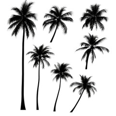 Lush Tropical Scene with Tall Palm Trees Swaying in the Gentle Breeze Against a Bright Blue Sky and Soft White Clouds isolated on white background