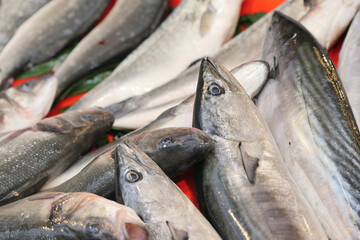 Fresh Fish Beautifully Displayed on a Market Table for Consumers