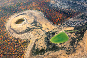 Aerial views over UNESCO area of Shark Bay, Western Australia, Australia