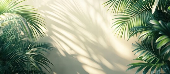 ** Sunlit Tropical Palm Leaves Casting Shadows on a Soft Beige Wall Creating a Serene and Natural Atmosphere..**