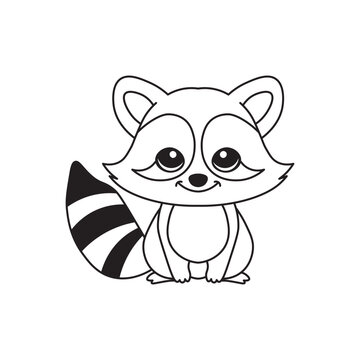 illustration of Black And White Coloring Book With Bold Lines, Cute Animal Racoon