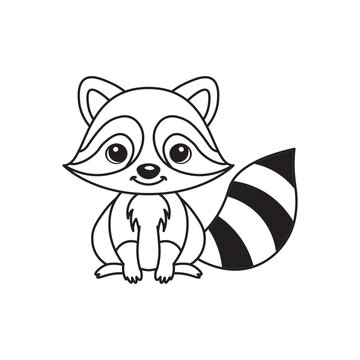 illustration of Black And White Coloring Book With Bold Lines, Cute Animal Racoon