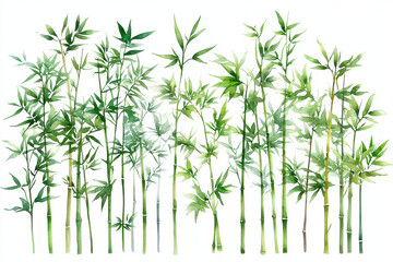 Naklejka premium Lush bamboo forest illustration with vibrant green foliage and stems